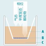 传统方式细胞培养暴露