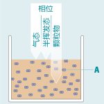 传统方式细胞培养暴露2
